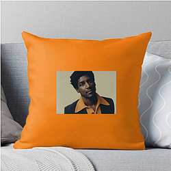 Labrinth Crafted Labrinth Pillows Cover