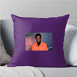 Labrinth Layers Labrinth Pillows Cover