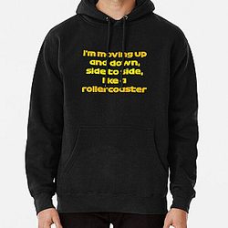 Moving up and down Lando Norris Pullover Hoodie RB1210