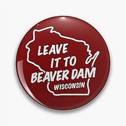 Leave Beaver Dam Wisconsin Pin