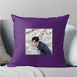 Lee David began his career as a child actor Lee David Pillows Cover