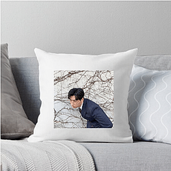 Lee David began his career as a child actor Lee David Pillows Cover