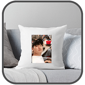 Lee David Pillows Cover
