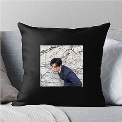 Lee David began his career as a child actor Lee David Pillows Cover