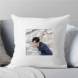Lee David began his career as a child actor Lee David Pillows Cover