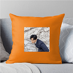 Lee David began his career as a child actor Lee David Pillows Cover