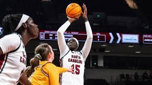 South Carolina Gamecocks Official Merch: 5 Basketball Picks