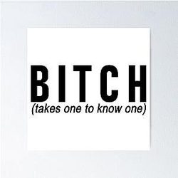 Bitch Lennon Stella Poster