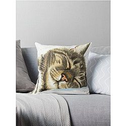 Sleeping Tabby Cat Throw Pillow