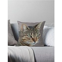 Stunning Tabby Cat Close Up Portrait Vector Isolated Throw Pillow