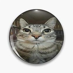Cat looking directly at you Pin