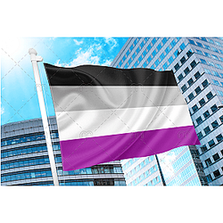 Asexual Pride Flag PN0112