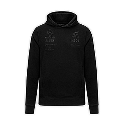 Team Stealth Hoody