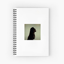 Lexa Gates Drift Lexa Gates Notebook