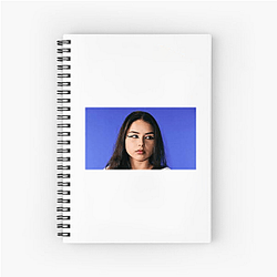 Lexa Gates Echo Lexa Gates Notebook