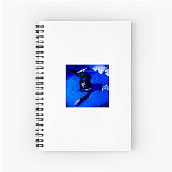 Lexa Gates Aura Lexa Gates Notebook