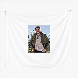 Liam Hemsworth also starred in the film The Last Song Liam Hemsworth Tapestries