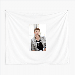 Liam Hemsworth has a large filmography Liam Hemsworth Tapestries
