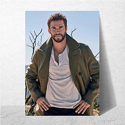 Liam Hemsworth also starred in the film The Last Song Liam Hemsworth Posters