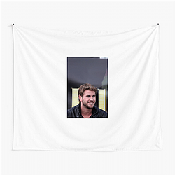 Liam Hemsworth is known for his role in Independence Day Resurgence Liam Hemsworth Tapestries