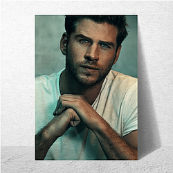 Liam Hemsworth began his career on Australian TV Liam Hemsworth Posters