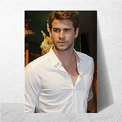 Liam Hemsworth will star in the TV series The Witcher Liam Hemsworth Posters