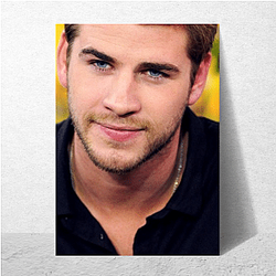Liam Hemsworth's breakout role was in The Hunger Games Liam Hemsworth Posters