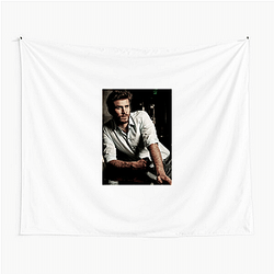Liam Hemsworth played the character Gale Hawthorne Liam Hemsworth Tapestries