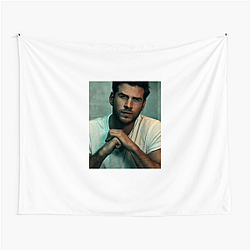 Liam Hemsworth began his career on Australian TV Liam Hemsworth Tapestries