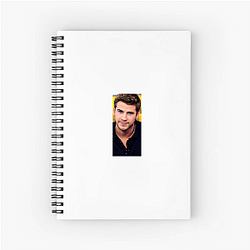 Liam Hemsworth's breakout role was in The Hunger Games Liam Hemsworth Notebook