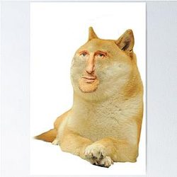 Liam Neeson Doge Poster