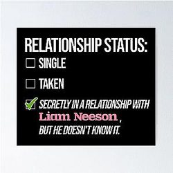 Liam Neeson Relationship Poster