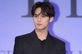 5 Mingyu Official Merch Gems Every Singer Fan Needs