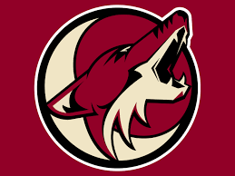 Arizona Coyotes Official Store: Must‑Have Hockey Gear