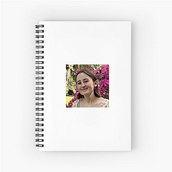 lilsimsie No Limits Just Fun Lilsimsie Notebook