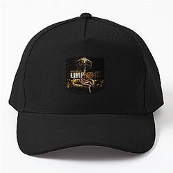 Amazing Limp Bizkit is an American Rap Rock Baseball Cap