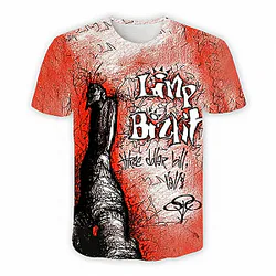 Here dollar Bill 3D DTNK0801  Limp Bizkit T-Shirts
