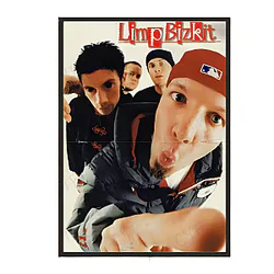 Artistic Music Illustration Set  Limp Bizkit Posters