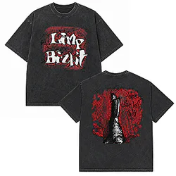 Washed Three Dollar Bill  Limp Bizkit T-Shirts