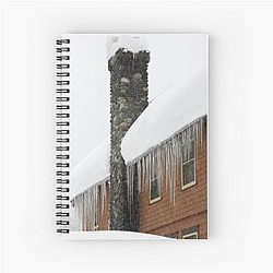 Longmire Mount Rainier National Park Notebook