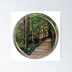 A Walk in the Woods Longmire Area Mt. Rainier National Park Poster