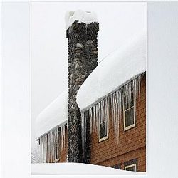 Longmire Lodge Mt Rainier National Park Poster