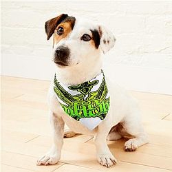 Lorna Shore Artwork Pet Bandanas Premium Merch Store