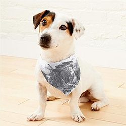 Lorna Shore Hollow Sentence Pet Bandanas Premium Merch Store