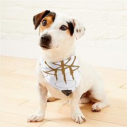 Lorna Shore Merch Lorna Shore Pet Bandanas Premium Merch Store