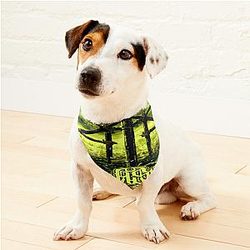 Lorna Shore Album Cover Pet Bandanas Premium Merch Store