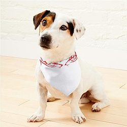 Lorna Shore Pet Bandanas Premium Merch Store