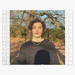 Louis Partridge Jigsaw Puzzle
