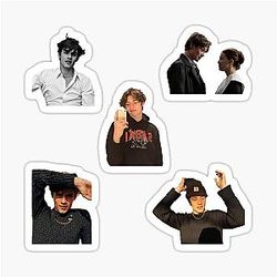 Louis Partridge Pack Gift Sticker