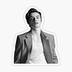 Louis Partridge Picture Sticker